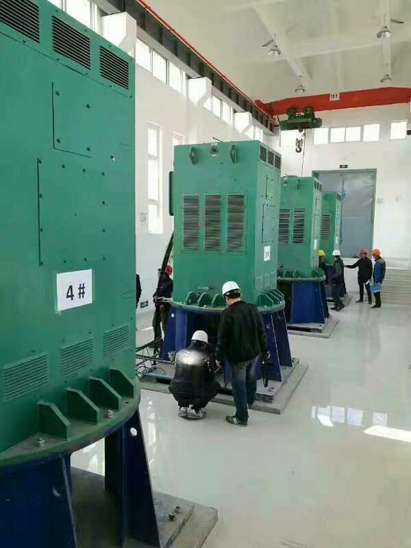 Y8007-16某污水处理厂使用我厂的立式高压电机安装现场生产厂家