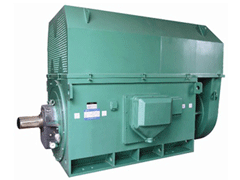 Y8007-16YKK系列高压电机