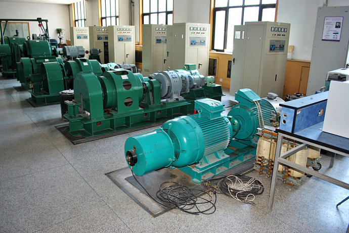 Y8007-16某热电厂使用我厂的YKK高压电机提供动力